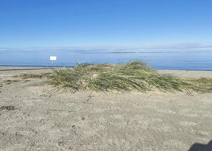 Nordsee Gulfhof Dornum - Ferienwohnung Mit Grossem Garten