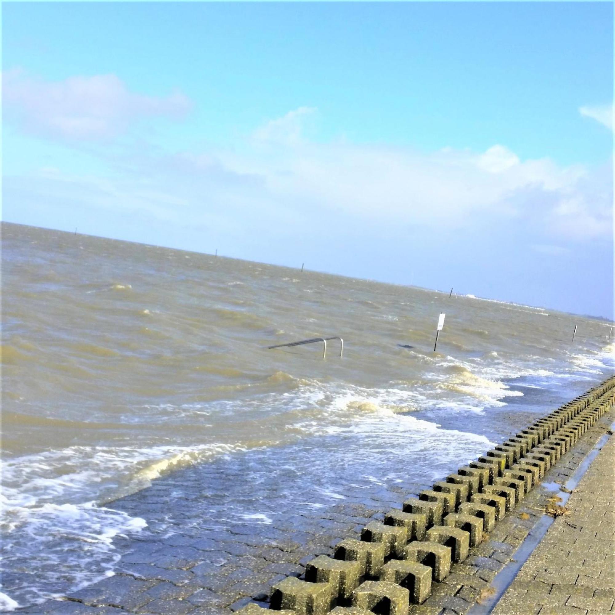 Apartment Nordsee Gulfhof Dornum - Mit Grossem Garten *