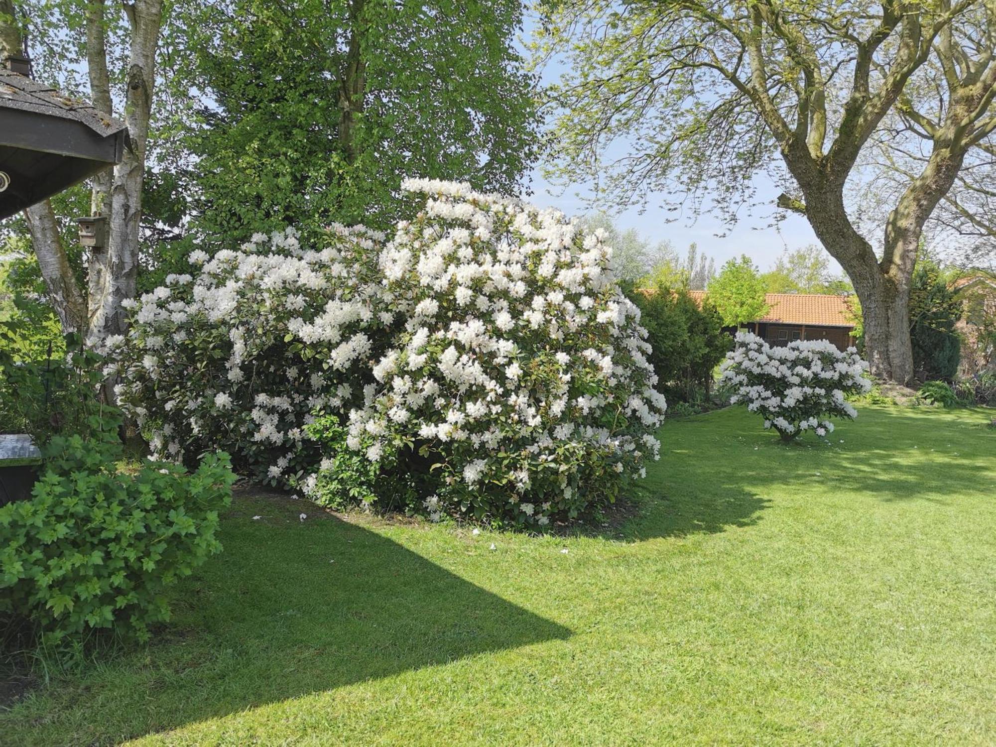 Apartment Nordsee Gulfhof Dornum - Mit Grossem Garten